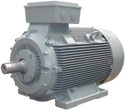 Induction Motors - Tekkindo, Distributor of Electric Motors, Air  Compressors and Inverters in Indonesia